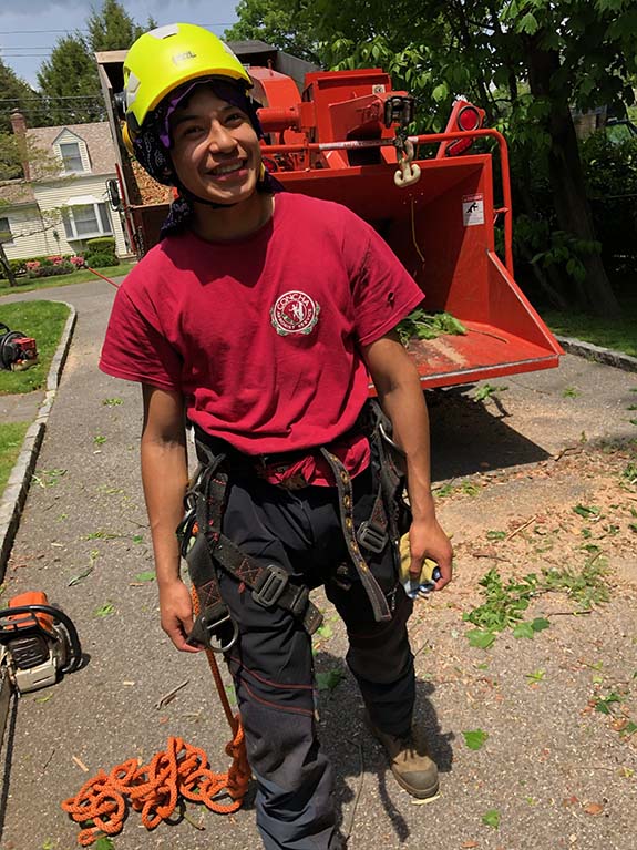 A worker in a red shirt and helmet stands near a wood chipper, wearing climbing harness gear and holding equipment, surrounded by greenery.