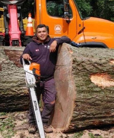 A person stands beside a freshly cut log with a chainsaw in hand, next to an orange tree service truck in a forested area.