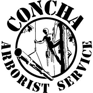 Juan Concha Arborist Service - Black Logo