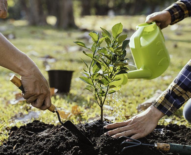 Two people are planting a small tree in soil, one using a trowel while the other waters it with a bright green watering can.