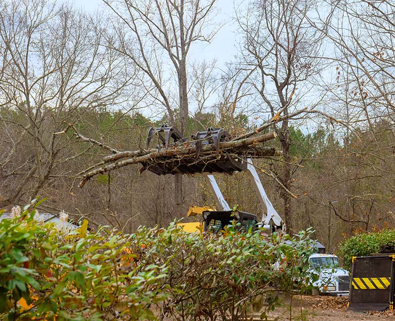 A piece of machinery lifts large tree branches amid bare trees, with a yellow truck and greenery in the foreground.